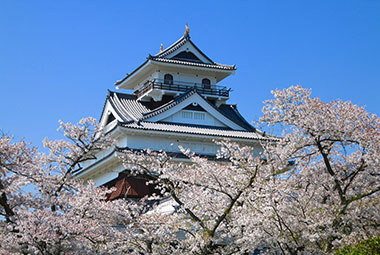 山形县( 酒田市 / 鹤冈市 / 山形市 )