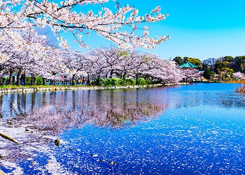 Ueno Park