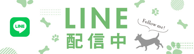 LINE配信中