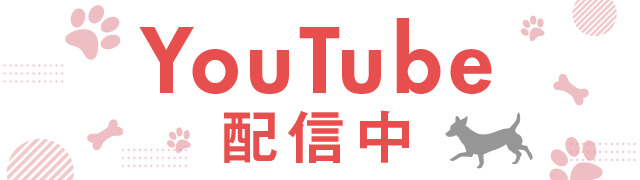 YouTube配信中